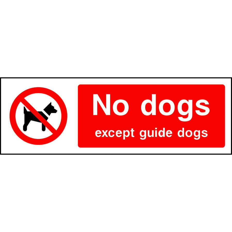 Cartello con scritta No dogs except guide dogs – Adesivo Cartello con scritta No dogs except guide dogs – Adesivo