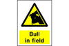 Bull in field warning sign