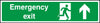 Emergency Exit Running Man and Arrow Up Sign