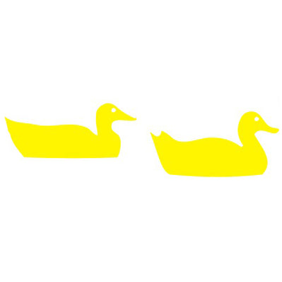 Ducks Vinyl Graphic